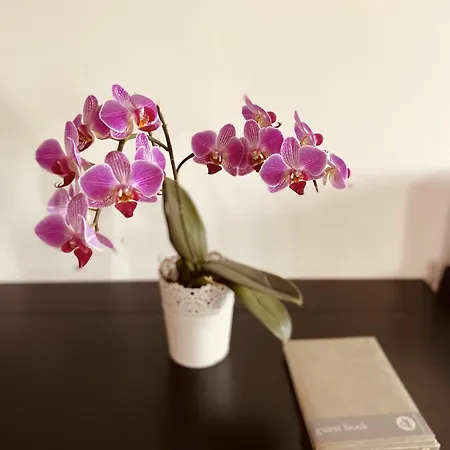 Apartment Alfama Amazing Tagus Views Aircon *